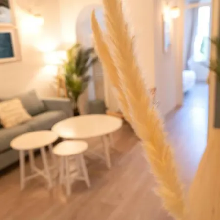 Magnifique 3 Pieces, Centre Apartment